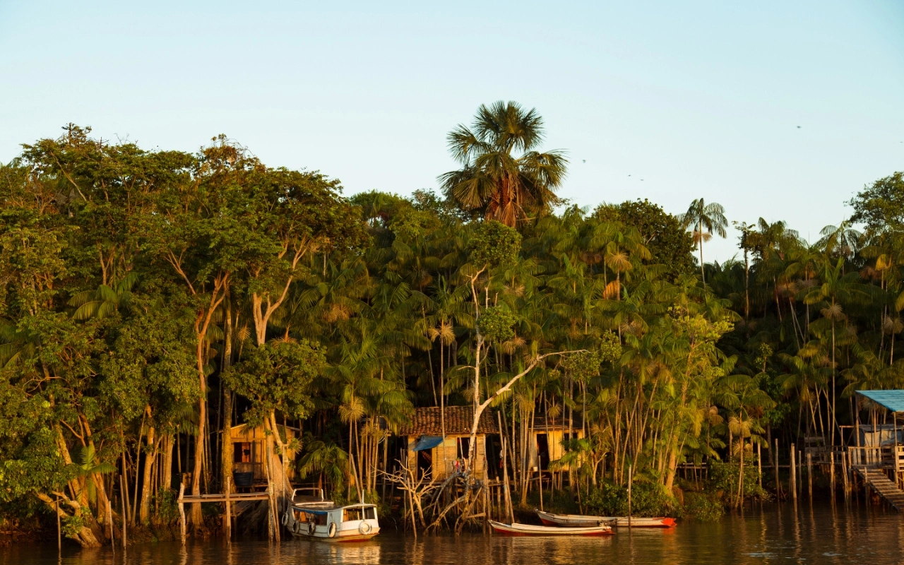 Aventuras en la Selva: Viaje al Amazonas