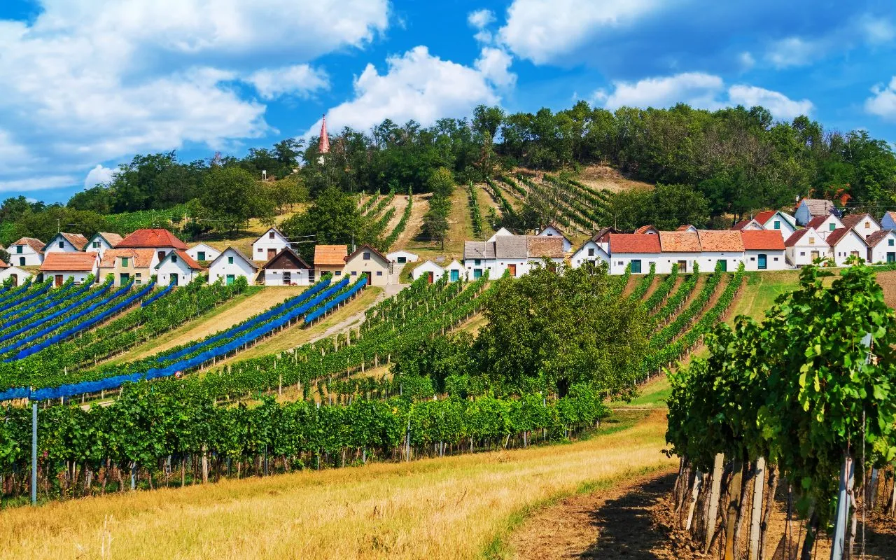 Recorriendo las Rutas del Vino: Destinos Vinícolas Inolvidables