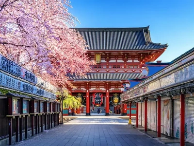 DISCOVER THE MAJESTY OF JAPAN 2X1