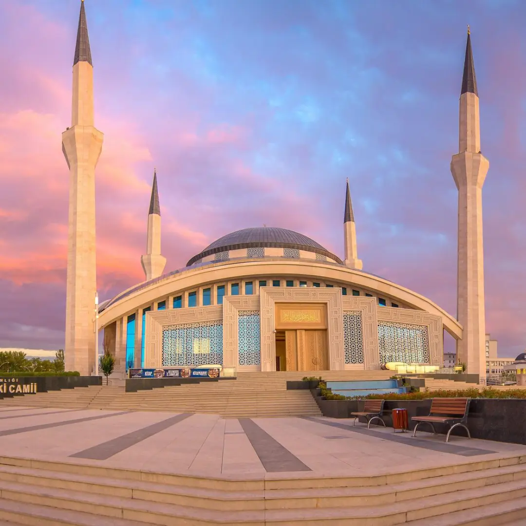 Un viaje que despierta curiosidad y asombro