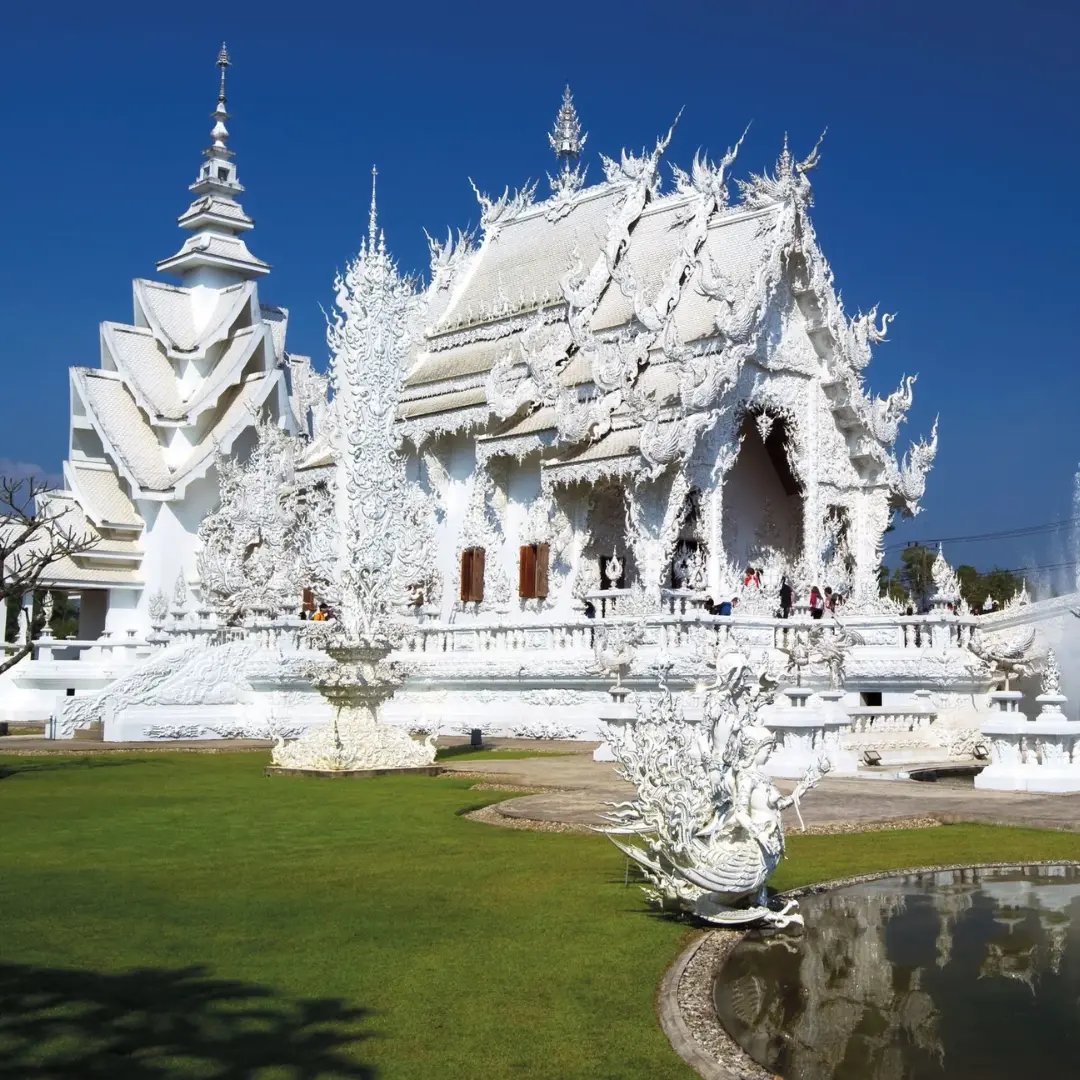 Un viaje donde la calma y la magia se encuentran