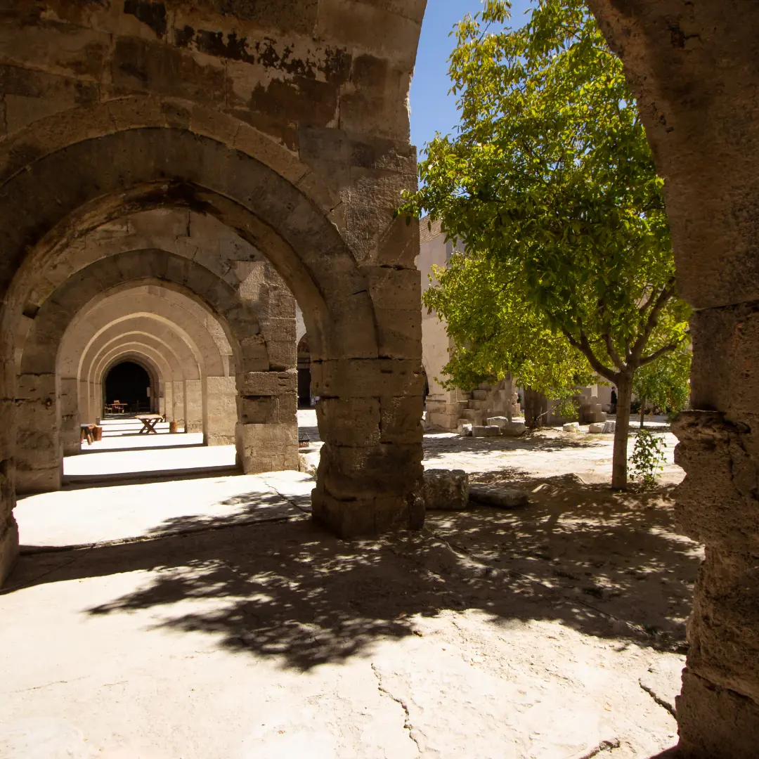 Vive una travesía llena de arte y emoción