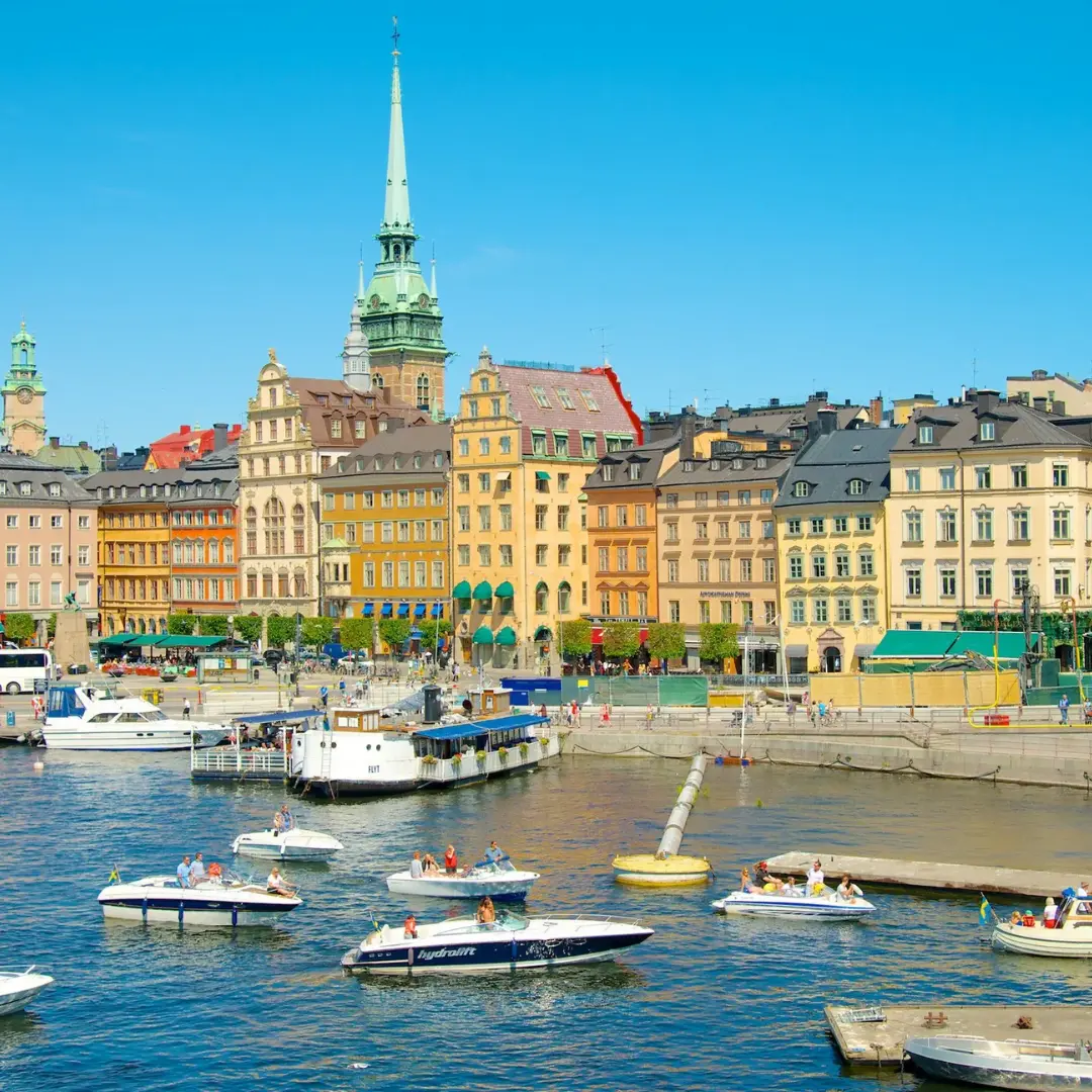 Descubre la esencia del norte
