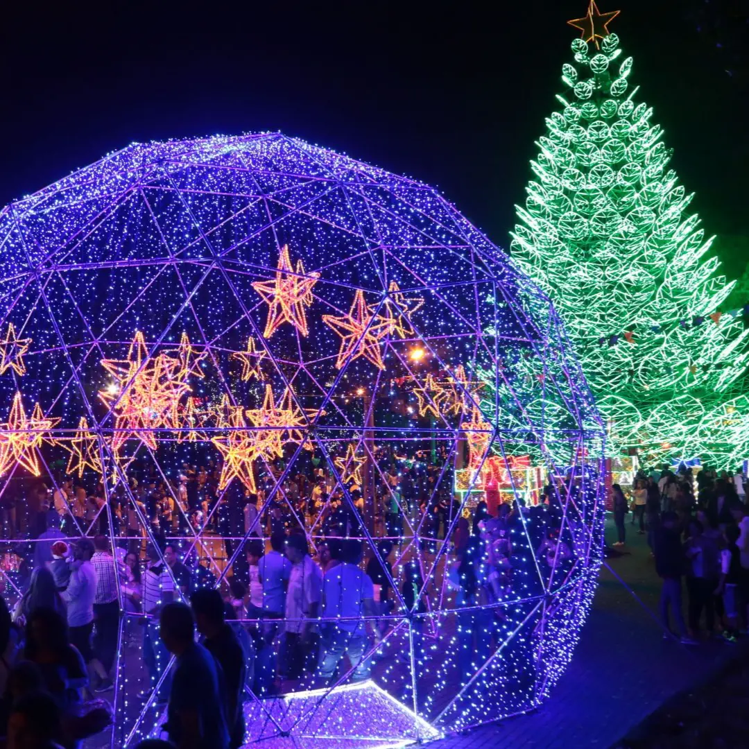 La magia de la Navidad te espera