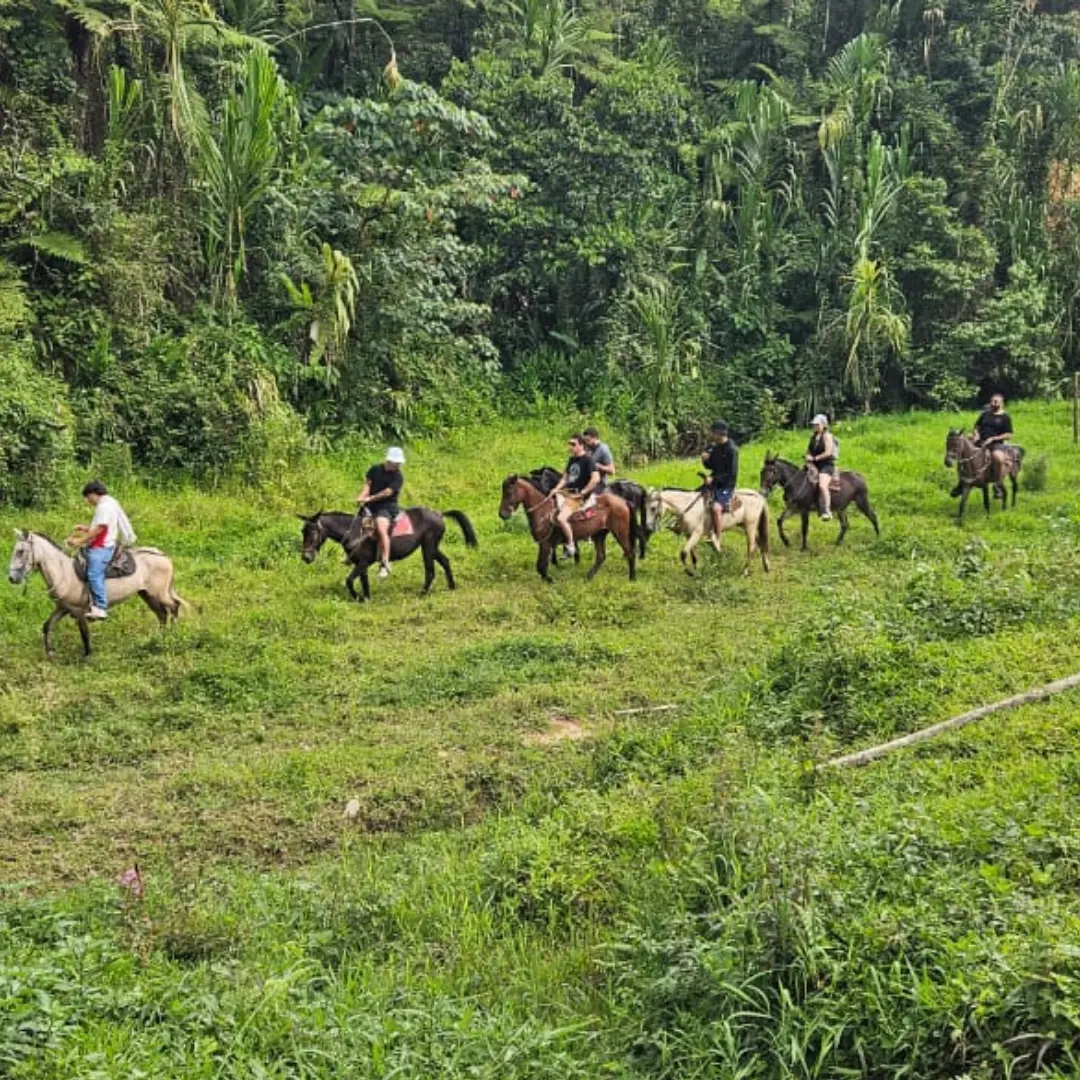 Luz, magia y celebración