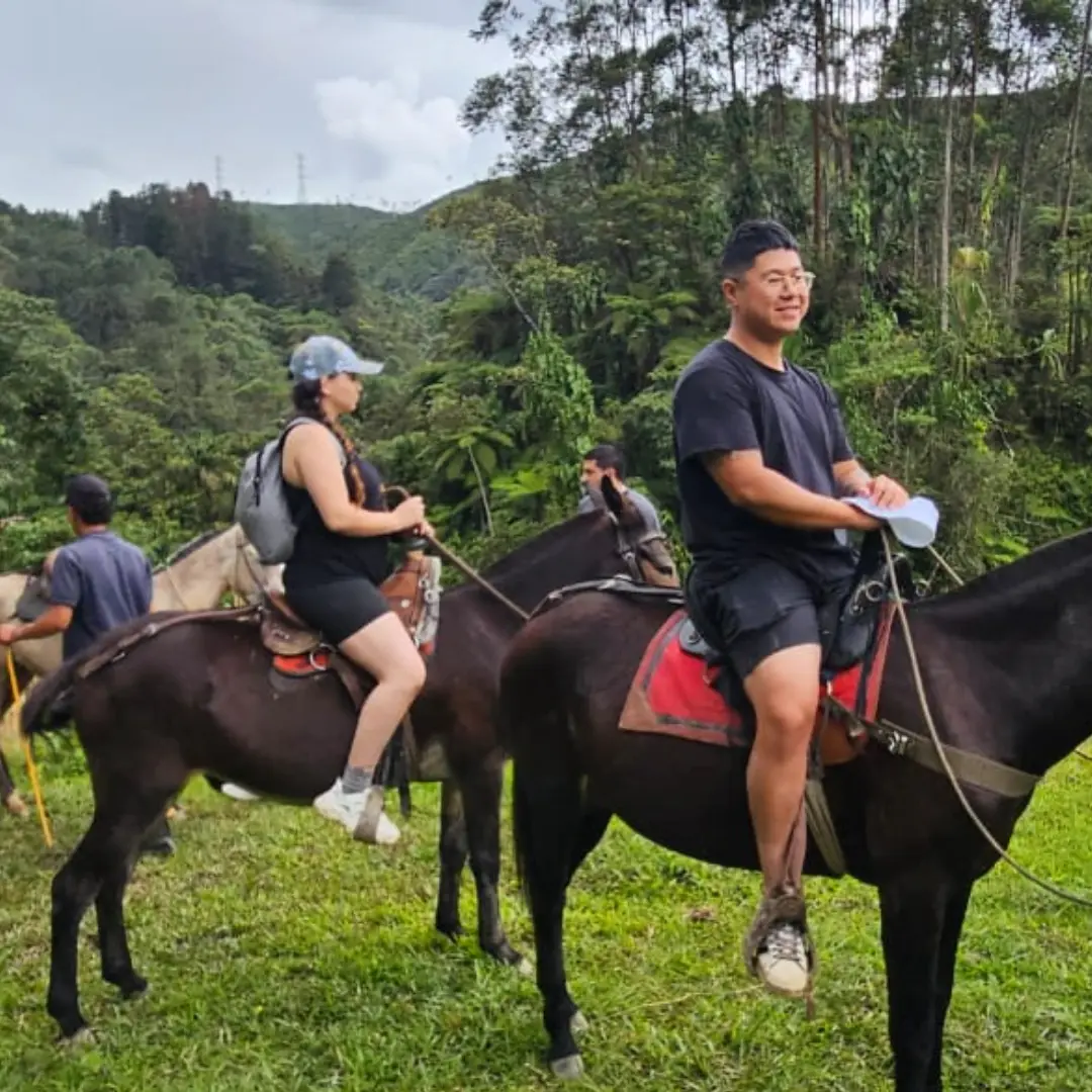 Vive el espíritu navideño