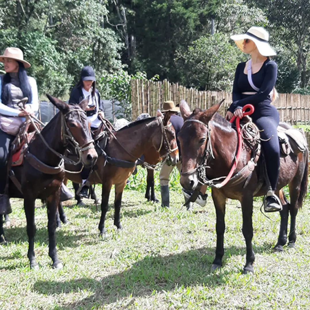 La magia de la Navidad te espera