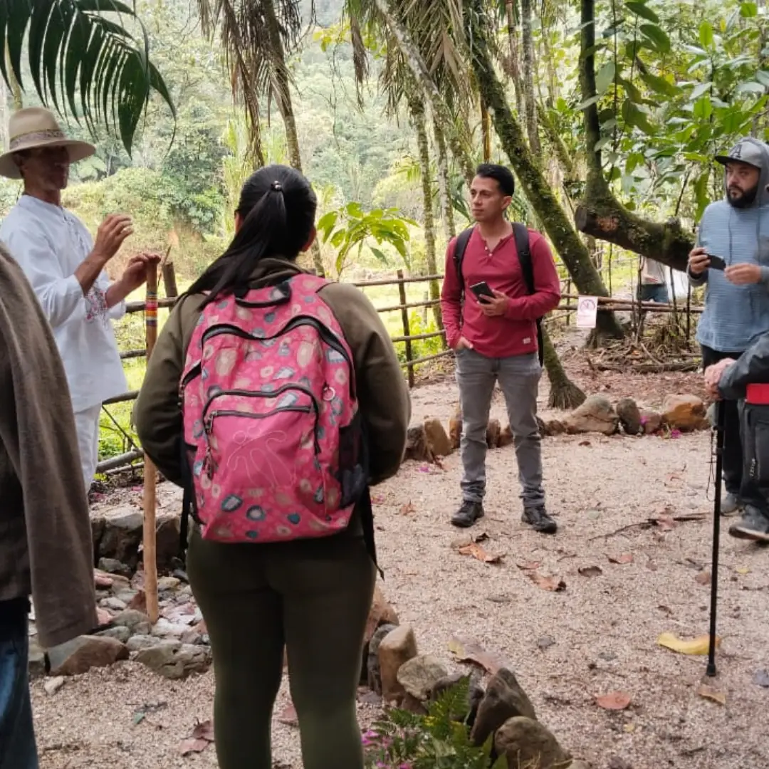 Un recorrido lleno de brillo y color
