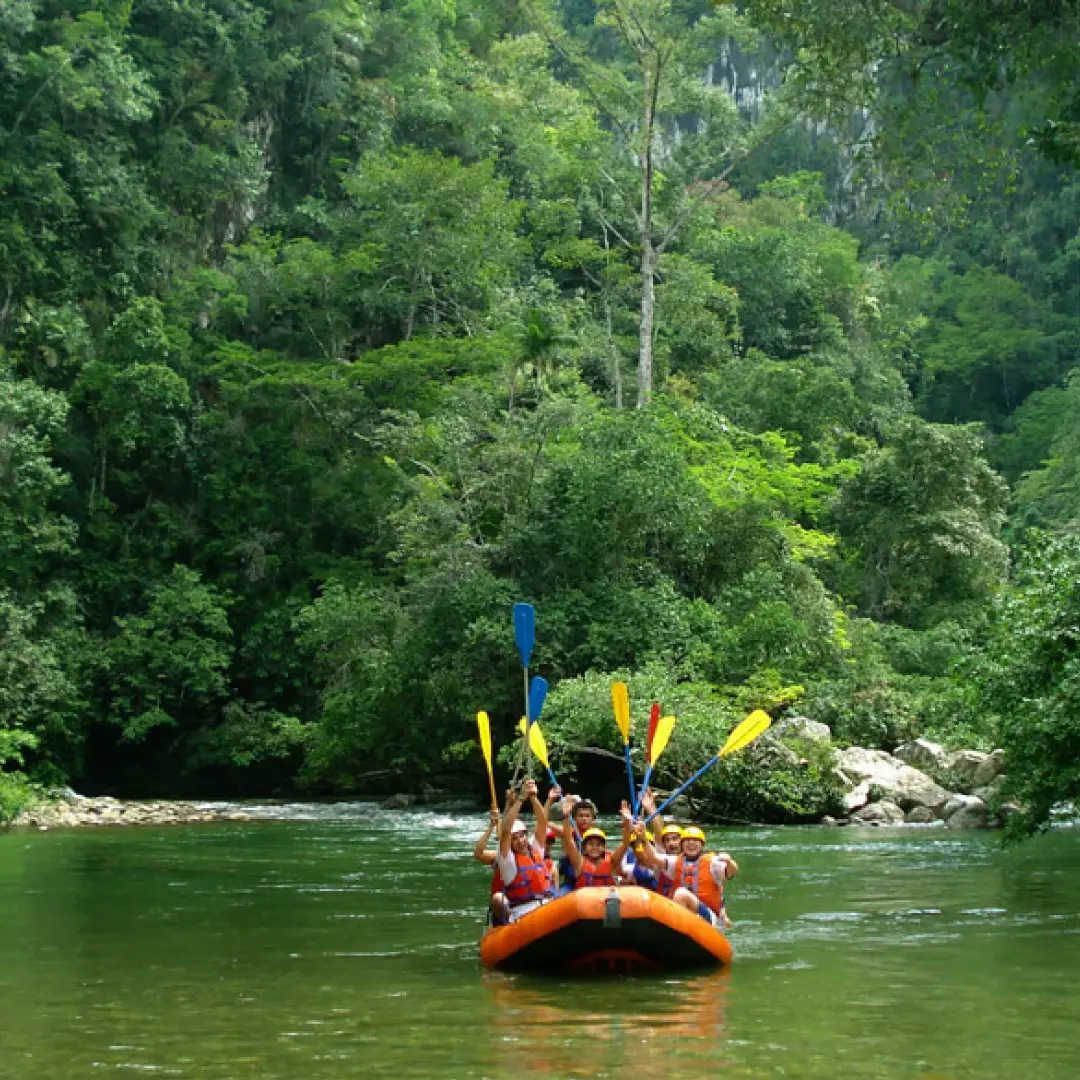 Conexión total con la naturaleza
