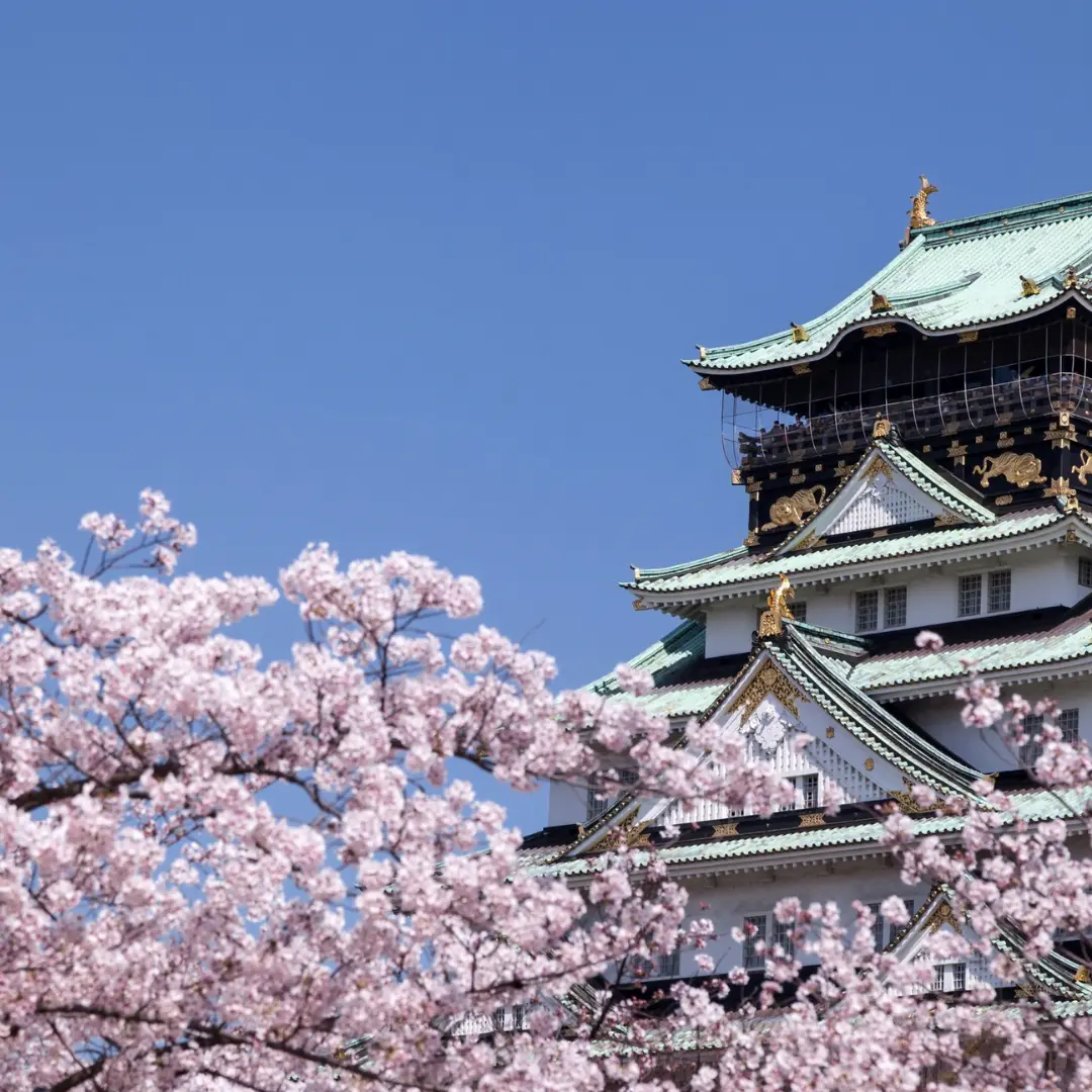 Tradición que inspira cada paso