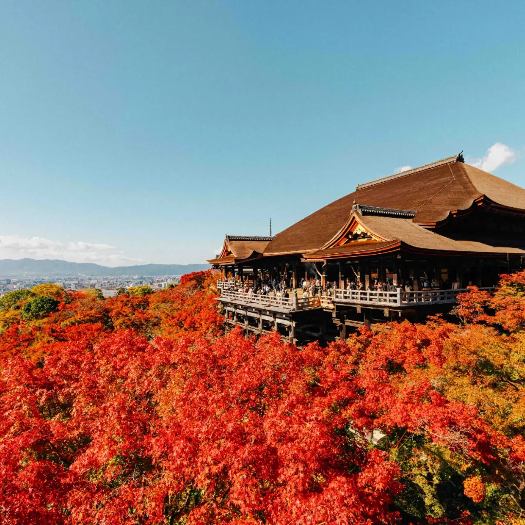 Caminos que revelan sabiduría antigua