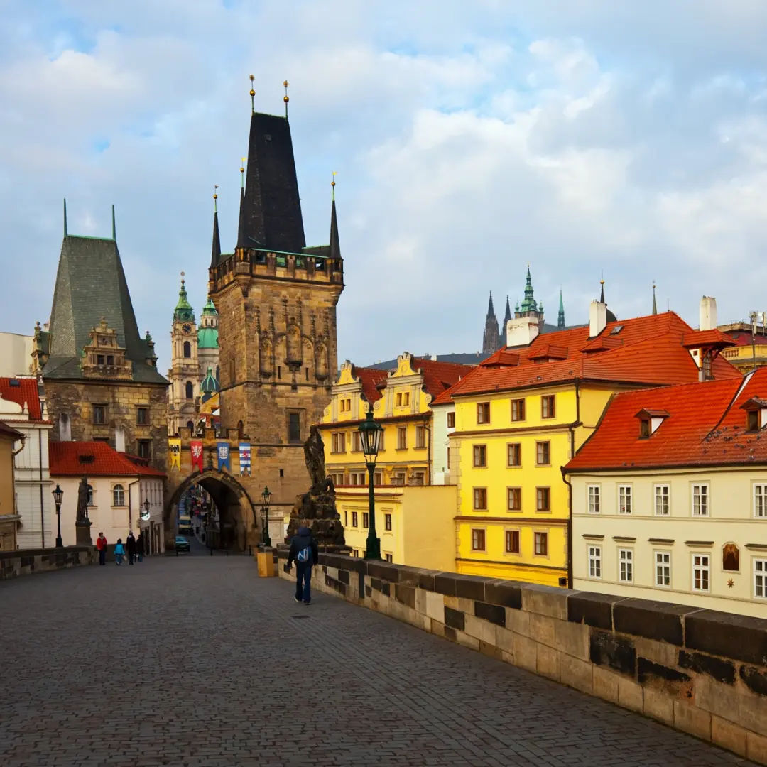 Explora la esencia del continente