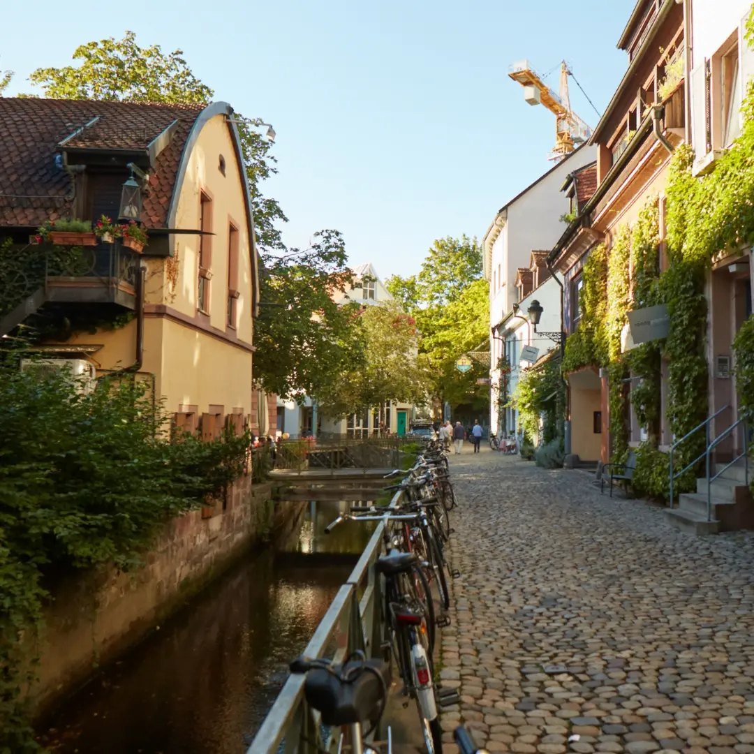 Viaje perfecto para amantes del panorama alpino