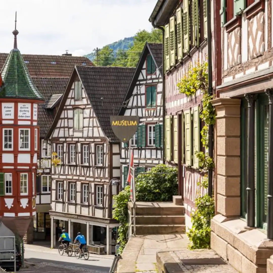 Un camino lleno de belleza europea