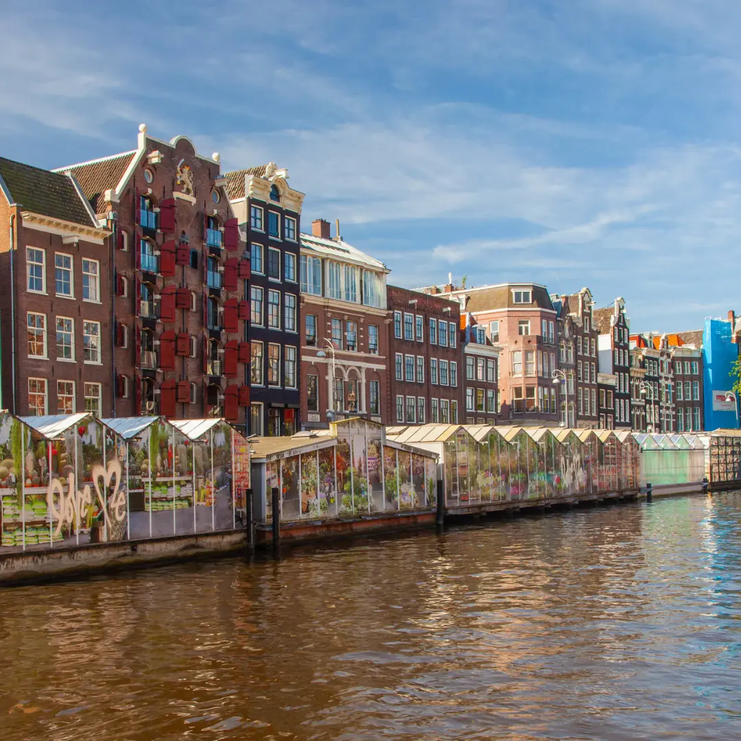 Un recorrido lleno de creatividad y belleza