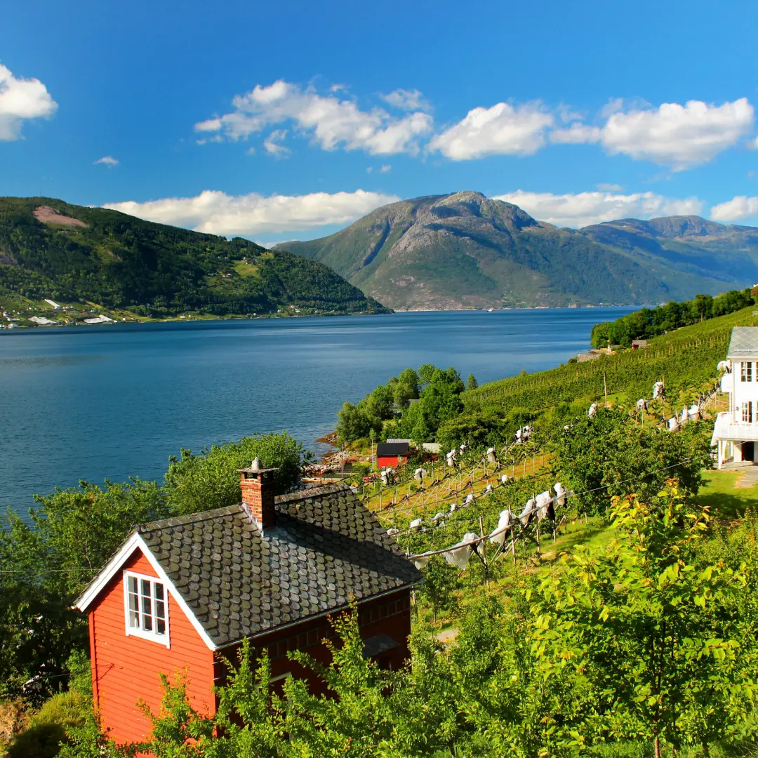 Un viaje al corazón nórdico
