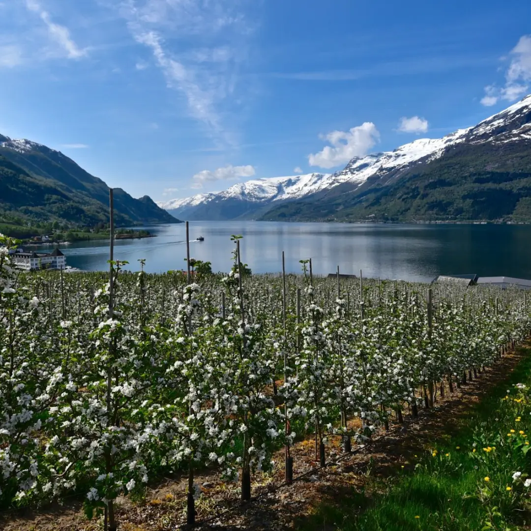 Explora tierras de antiguos navegantes