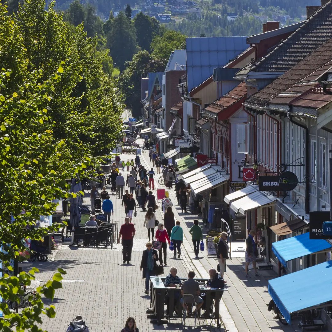 Descubre el misterio del mundo nórdico