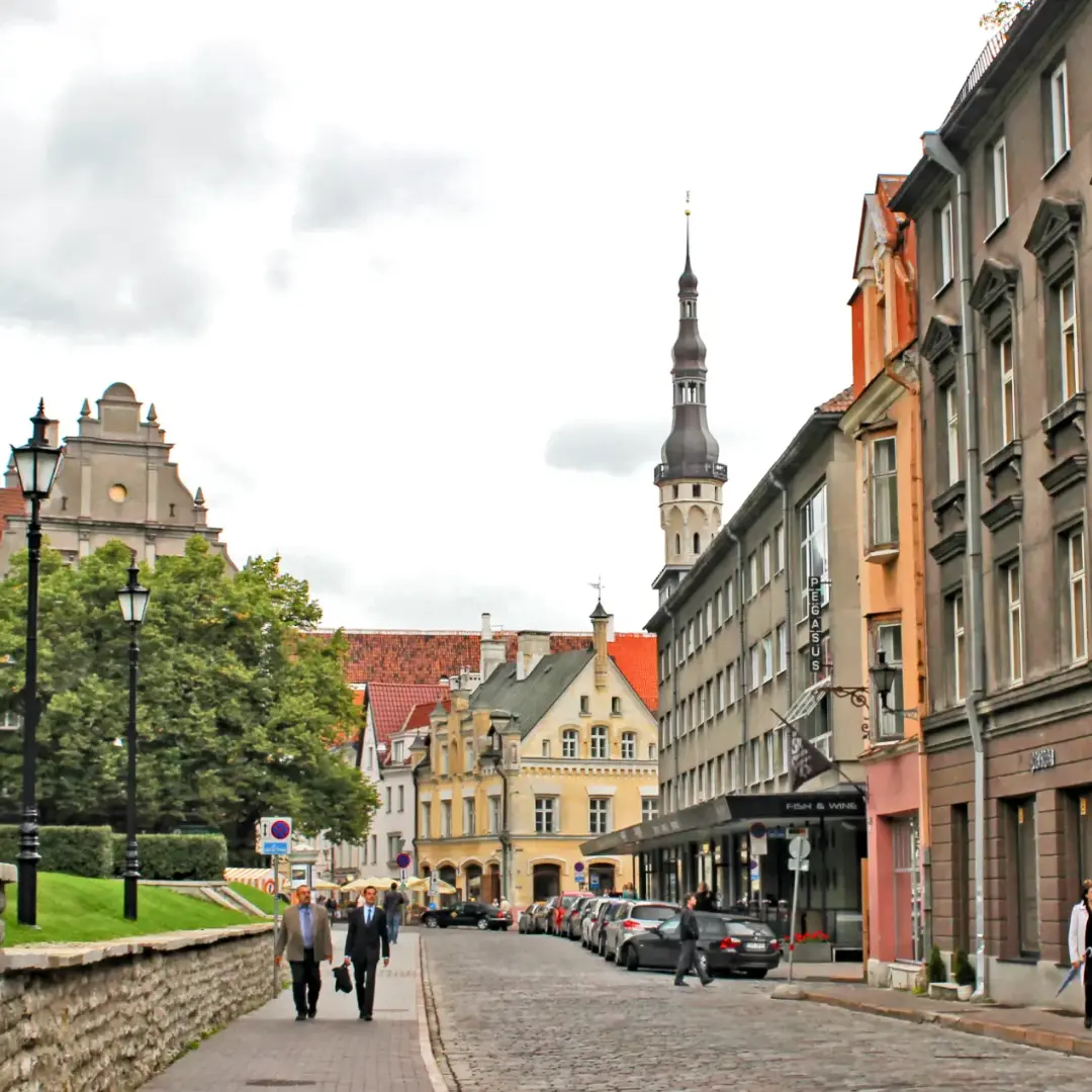 El legado del norte europeo