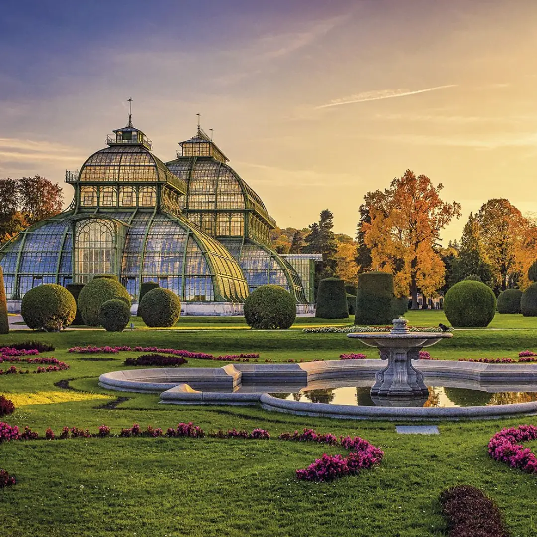 Calles iluminadas y sueños de invierno