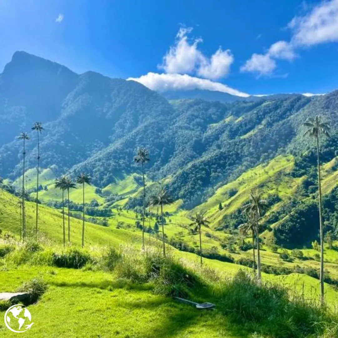 Viajar al Eje Cafetero