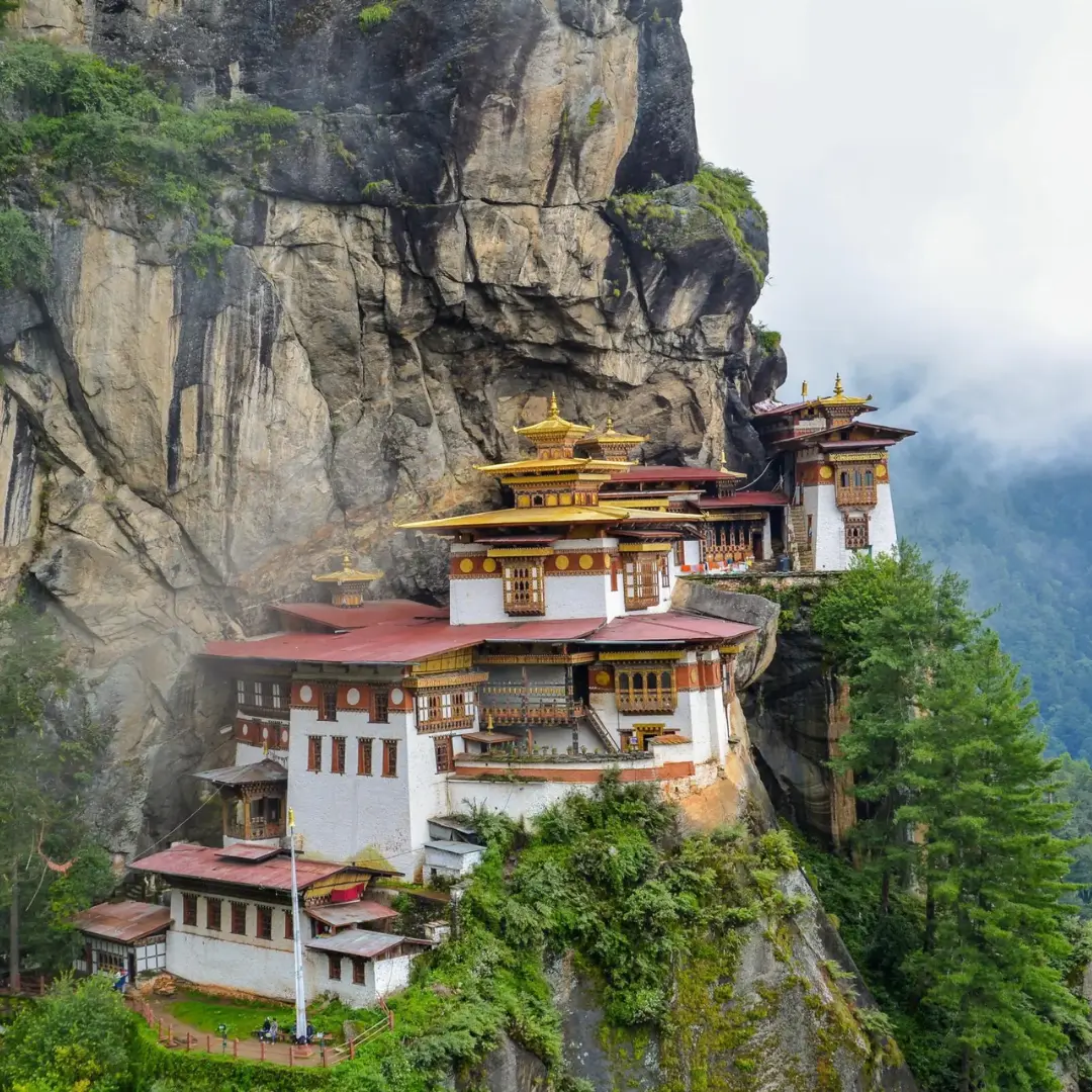 Cultura profunda que transforma