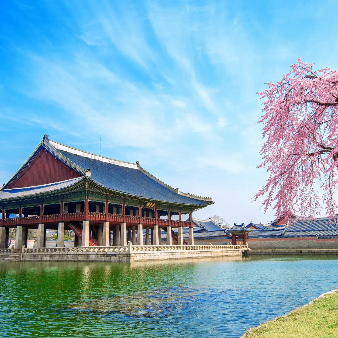 Historia viva con mirada moderna