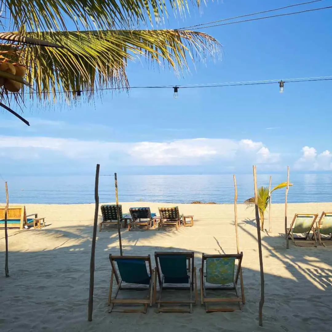 Desconexión total en el trópico