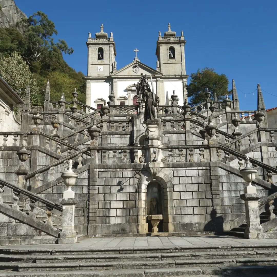 Un viaje bajo su amparo