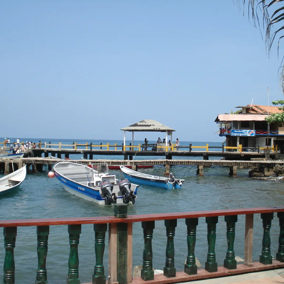 Hotel de playa con esencia natural