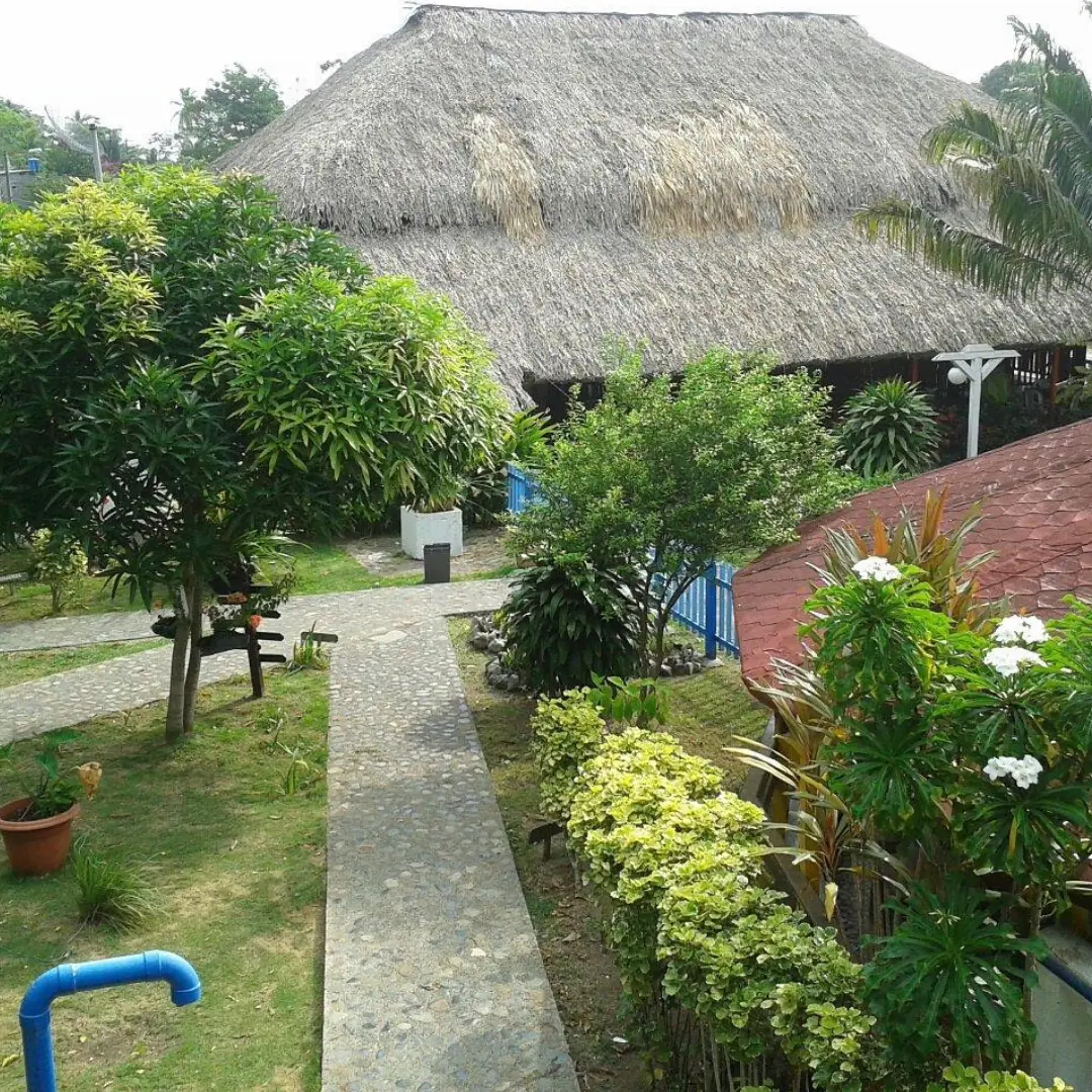 Empieza a descansar desde el vuelo