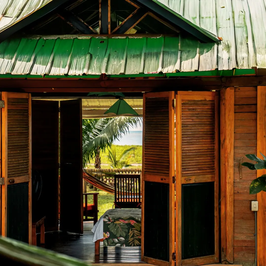 Naturaleza pura frente al mar