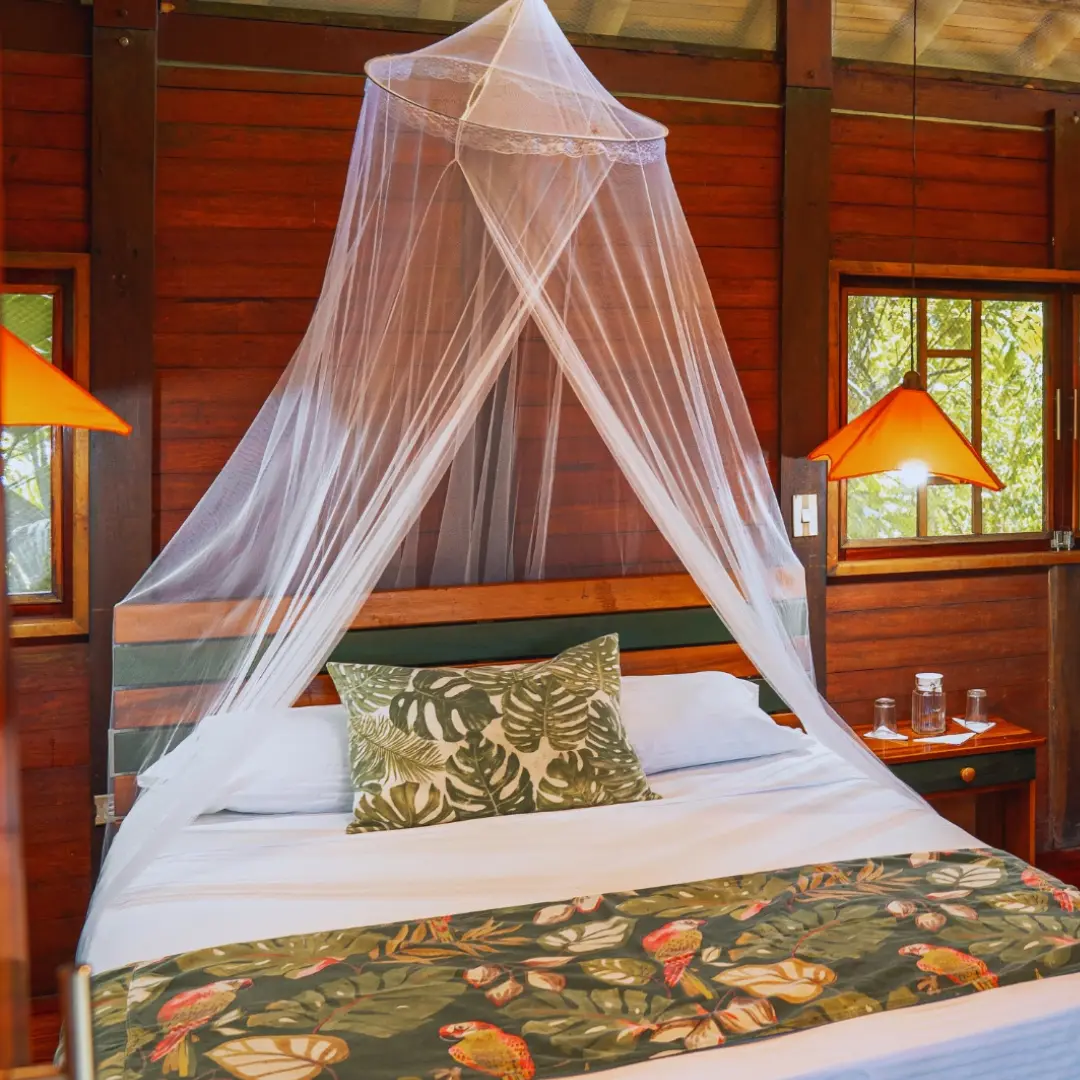 Aventura entre selva y olas