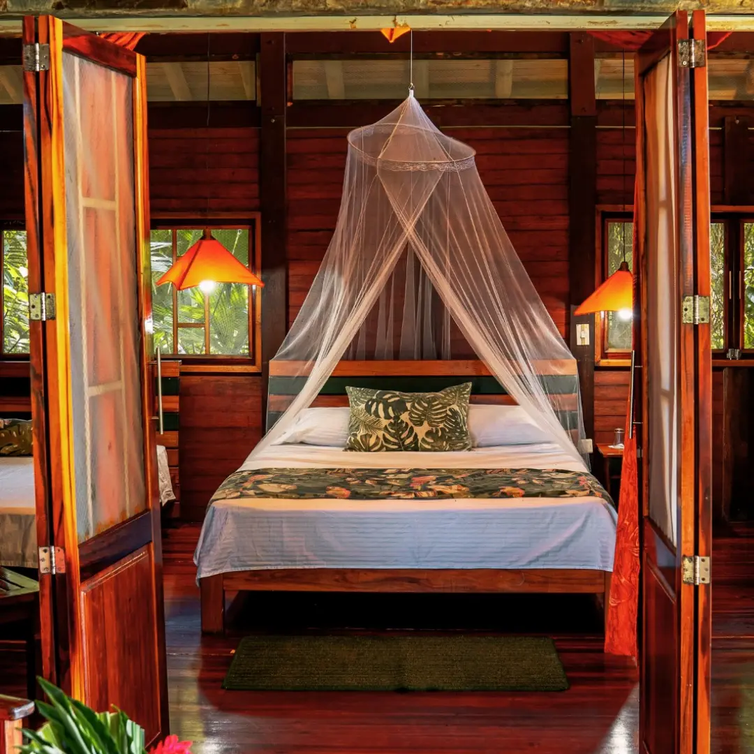 Un viaje hacia lo salvaje