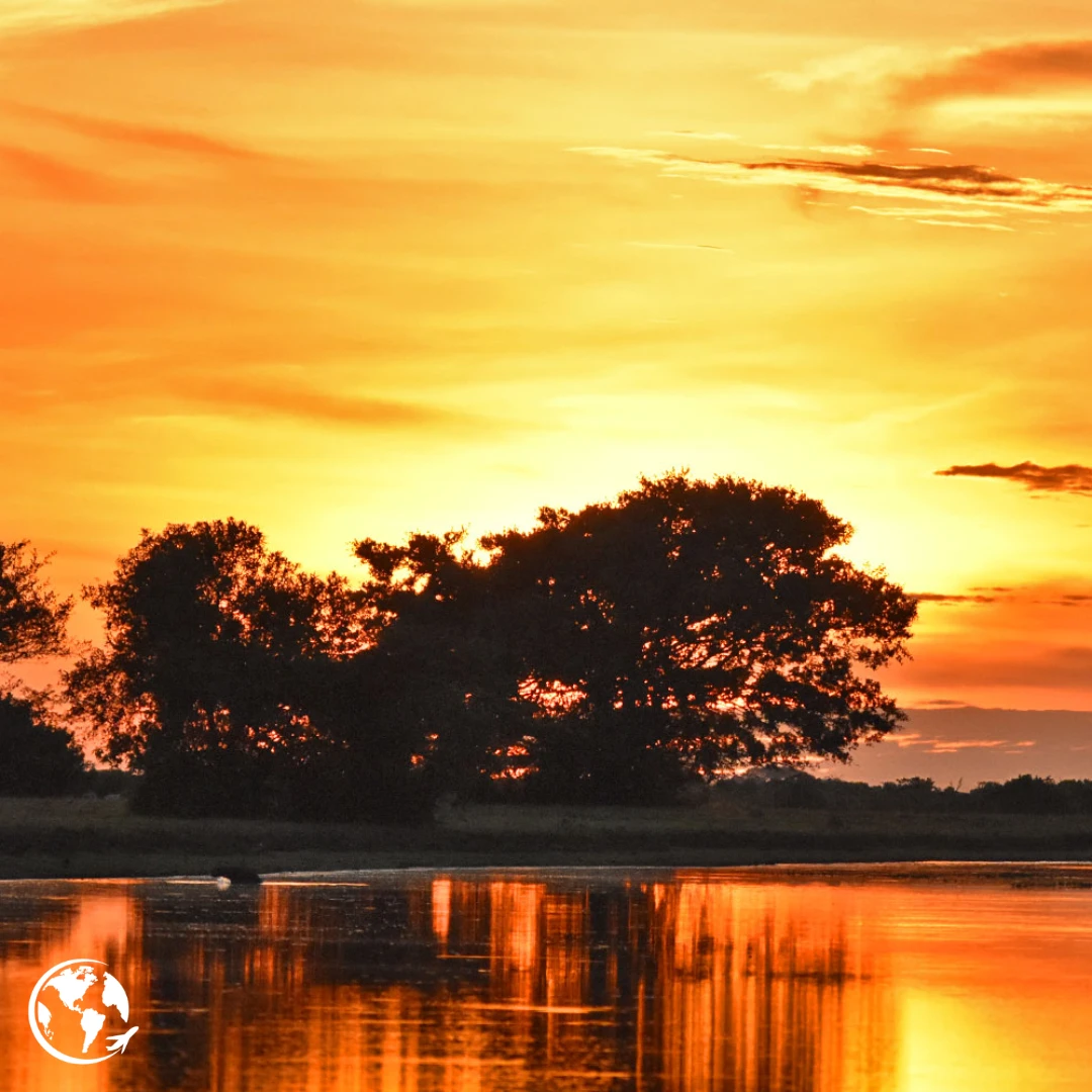 The Eastern Plains: where the vast plain meets wildlife.