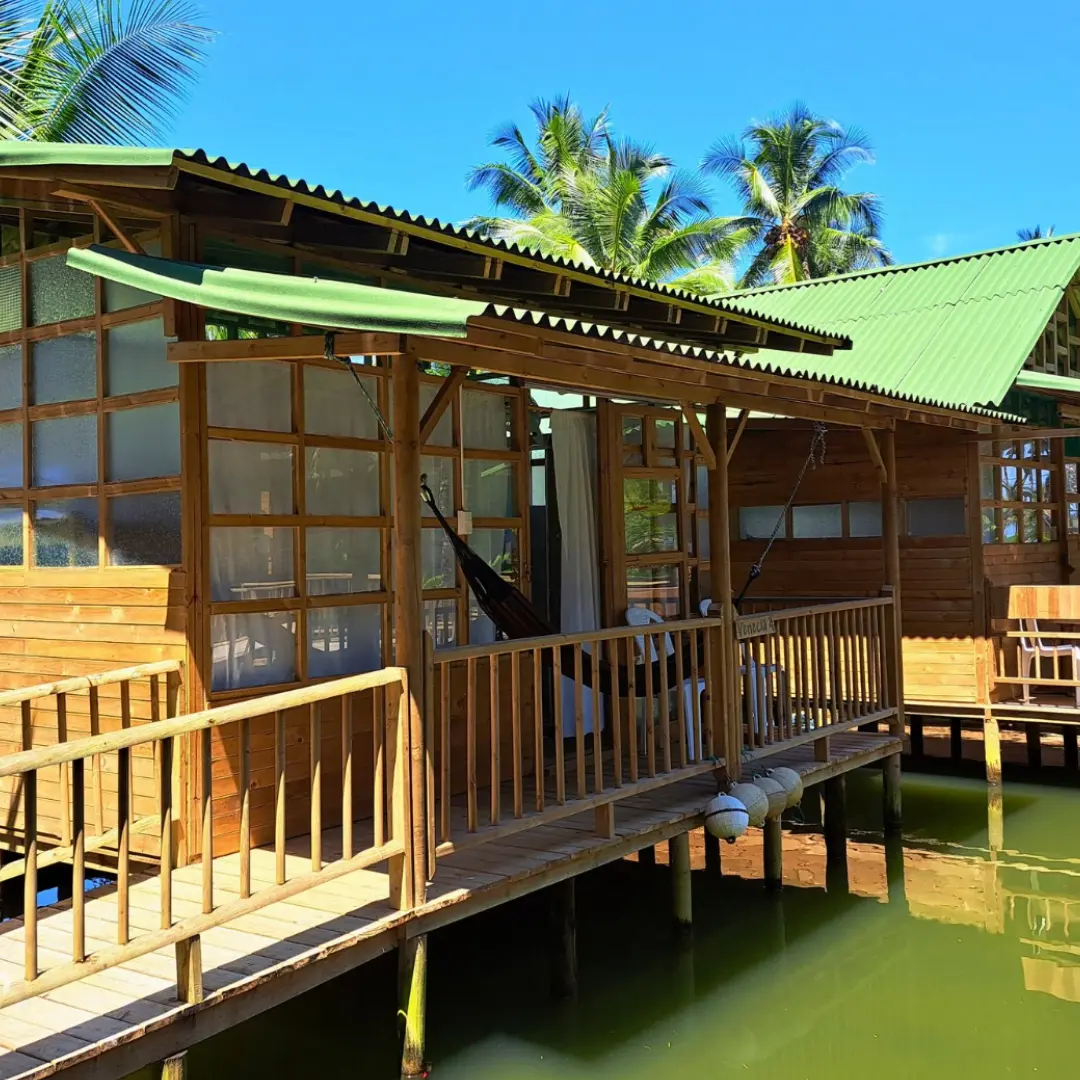 Naturaleza pura en Ecolodge Playa Alegre