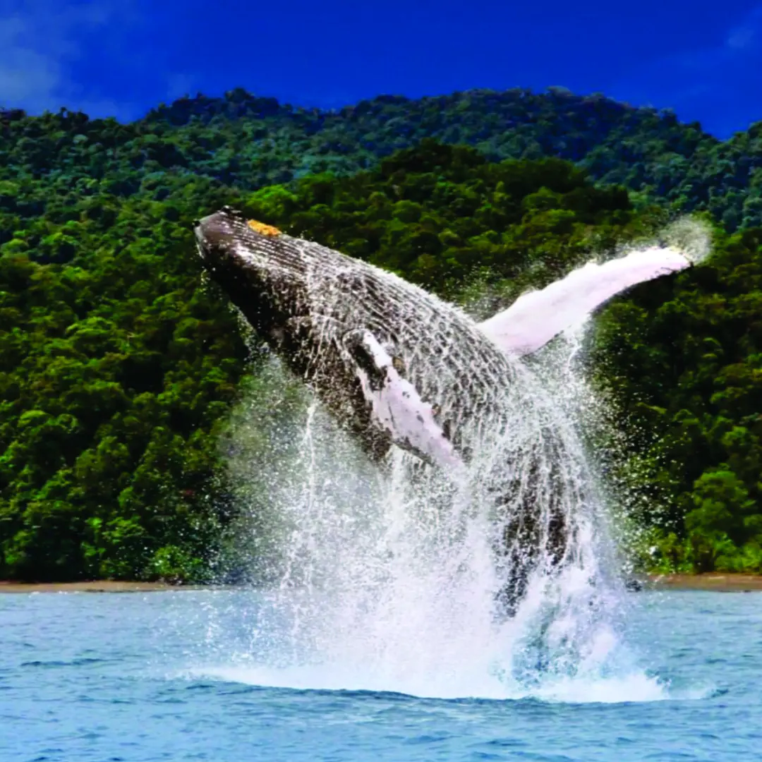 Aventura y tranquilidad en armonía perfecta