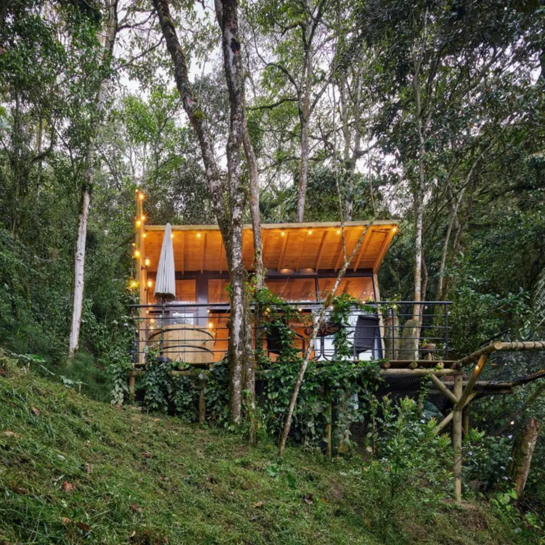 Atardeceres que se viven en madera