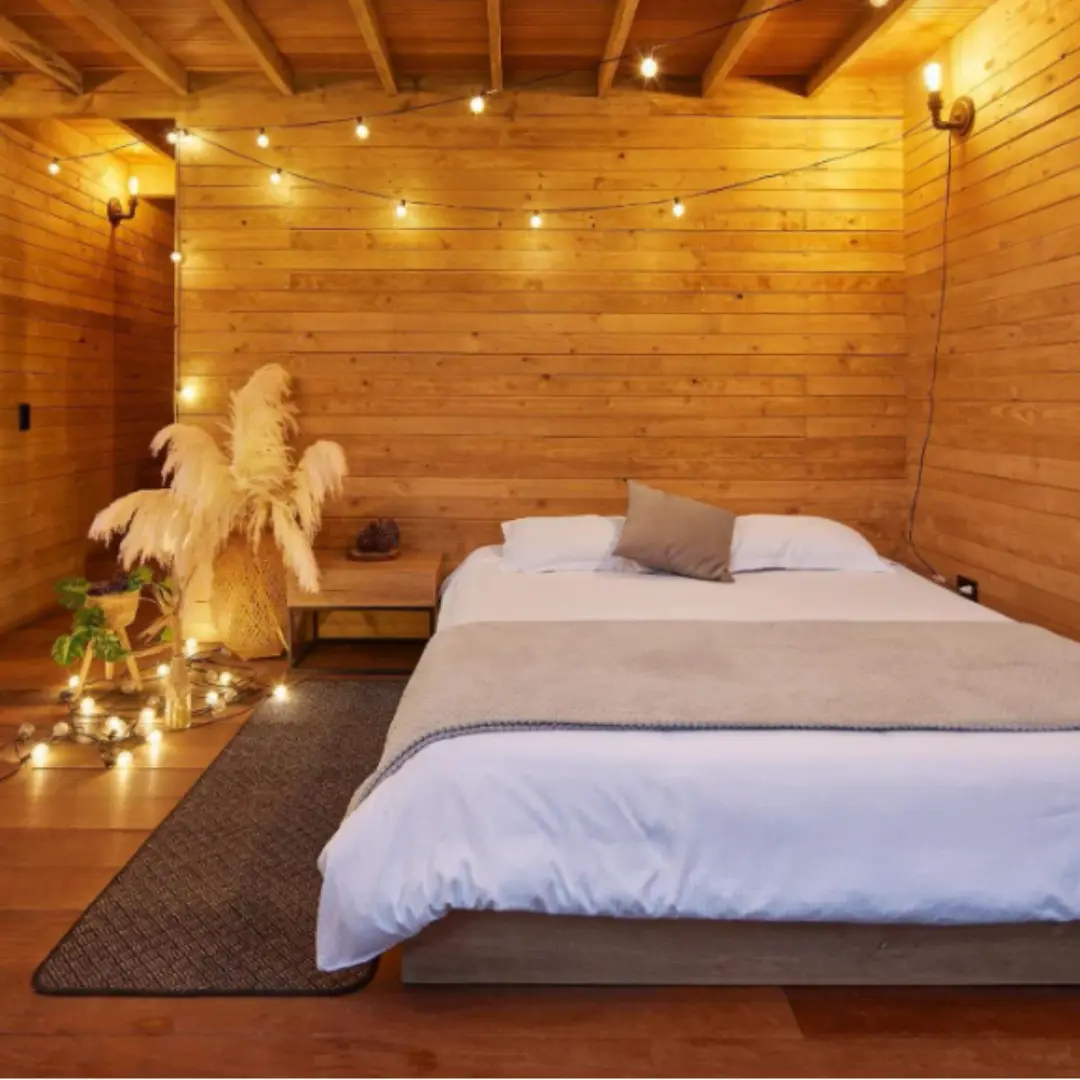 Magia de una noche en cabaña