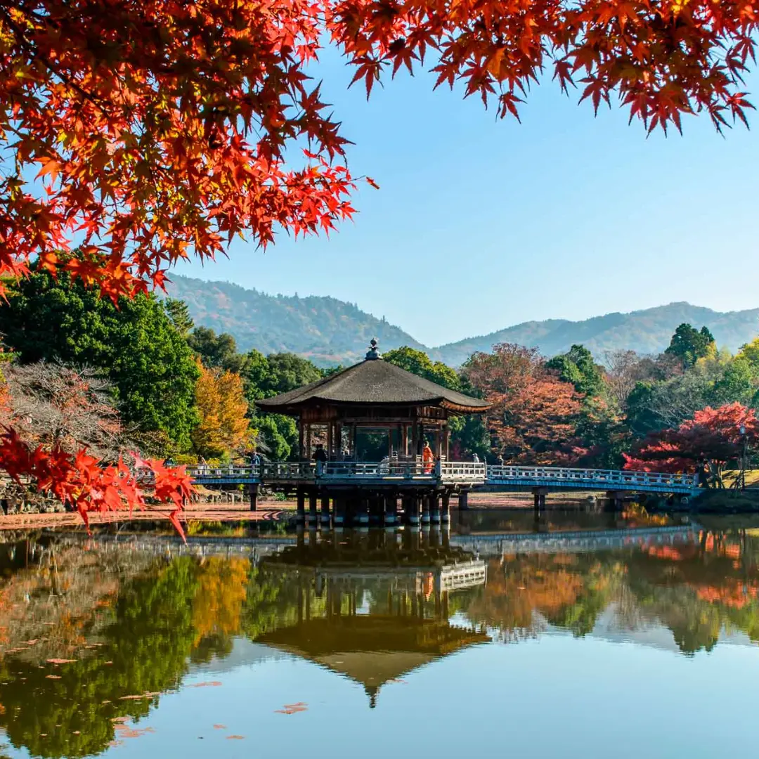 An unforgettable journey into Japan's heart