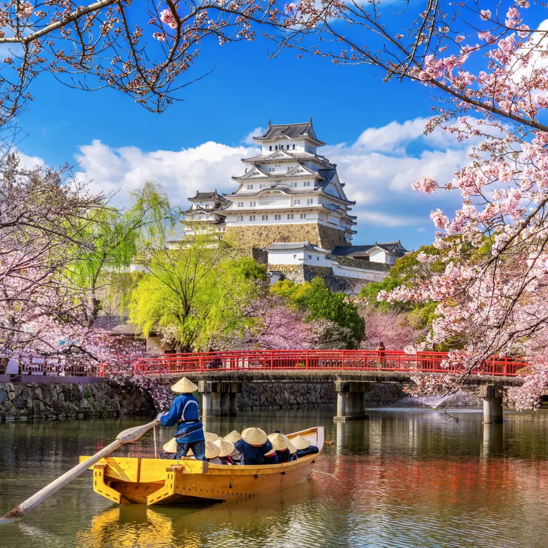 An unforgettable journey into Japan's heart