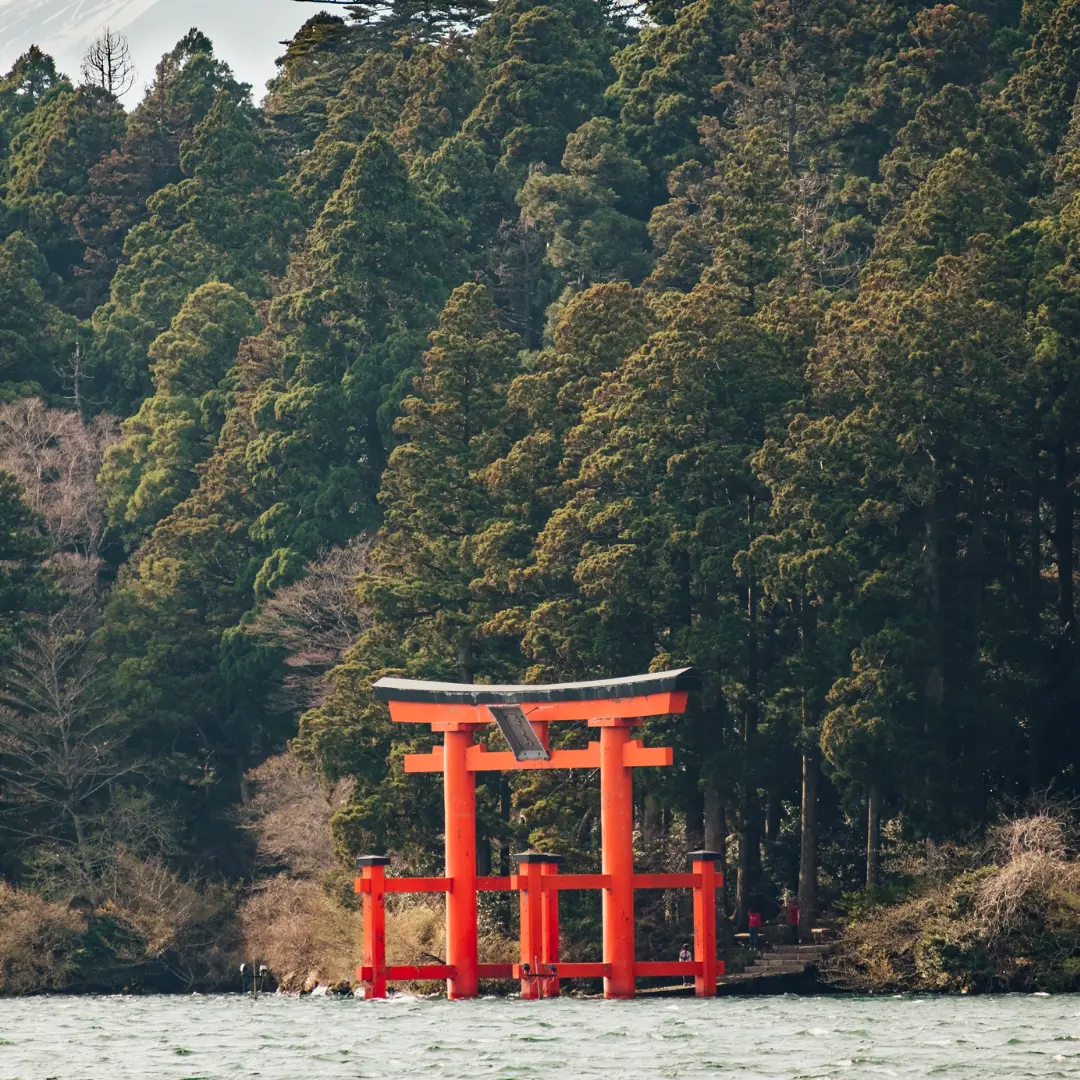 An unforgettable journey into Japan's heart
