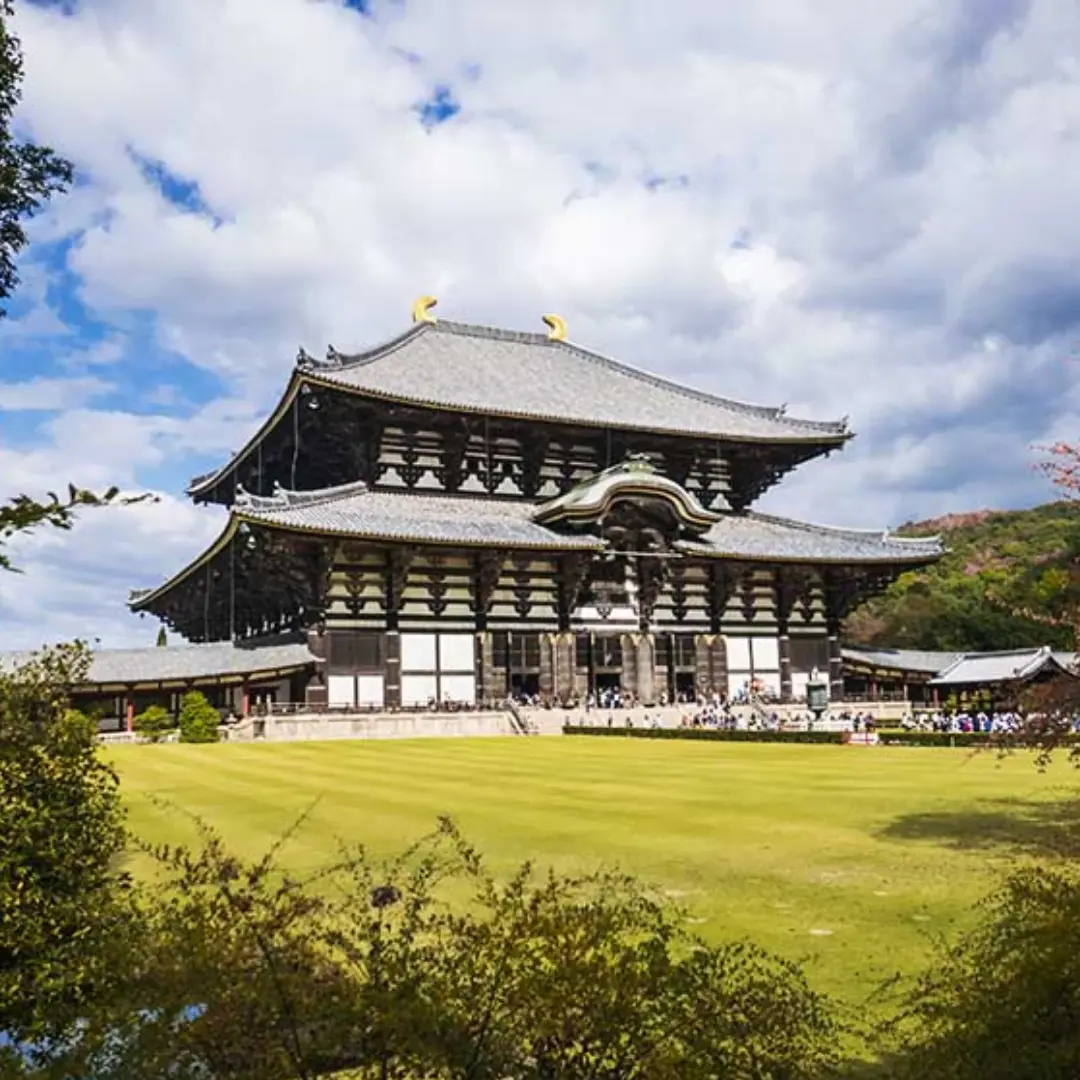 An unforgettable journey into Japan's heart