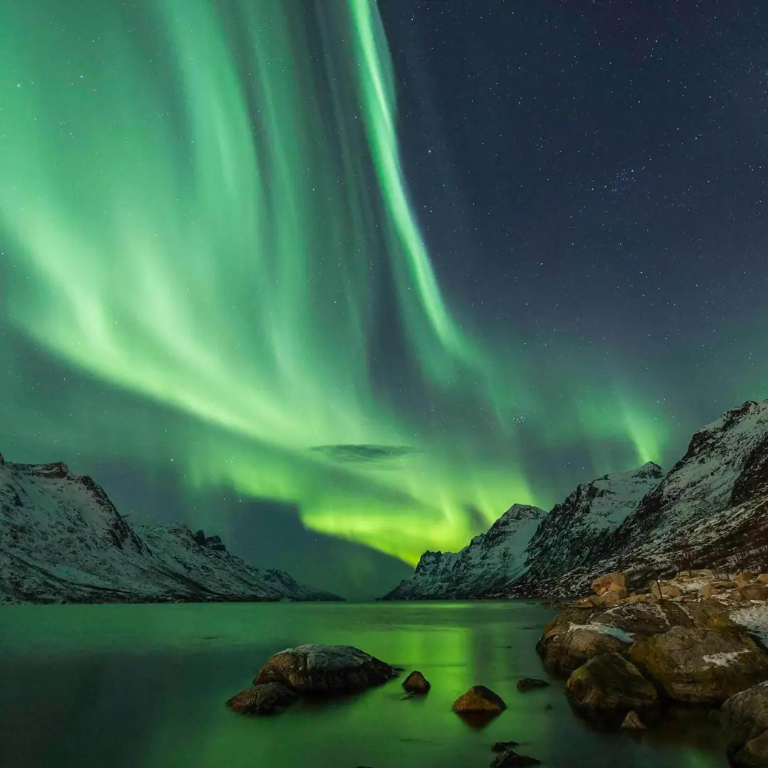 Luces que bailan sobre el cielo ártico