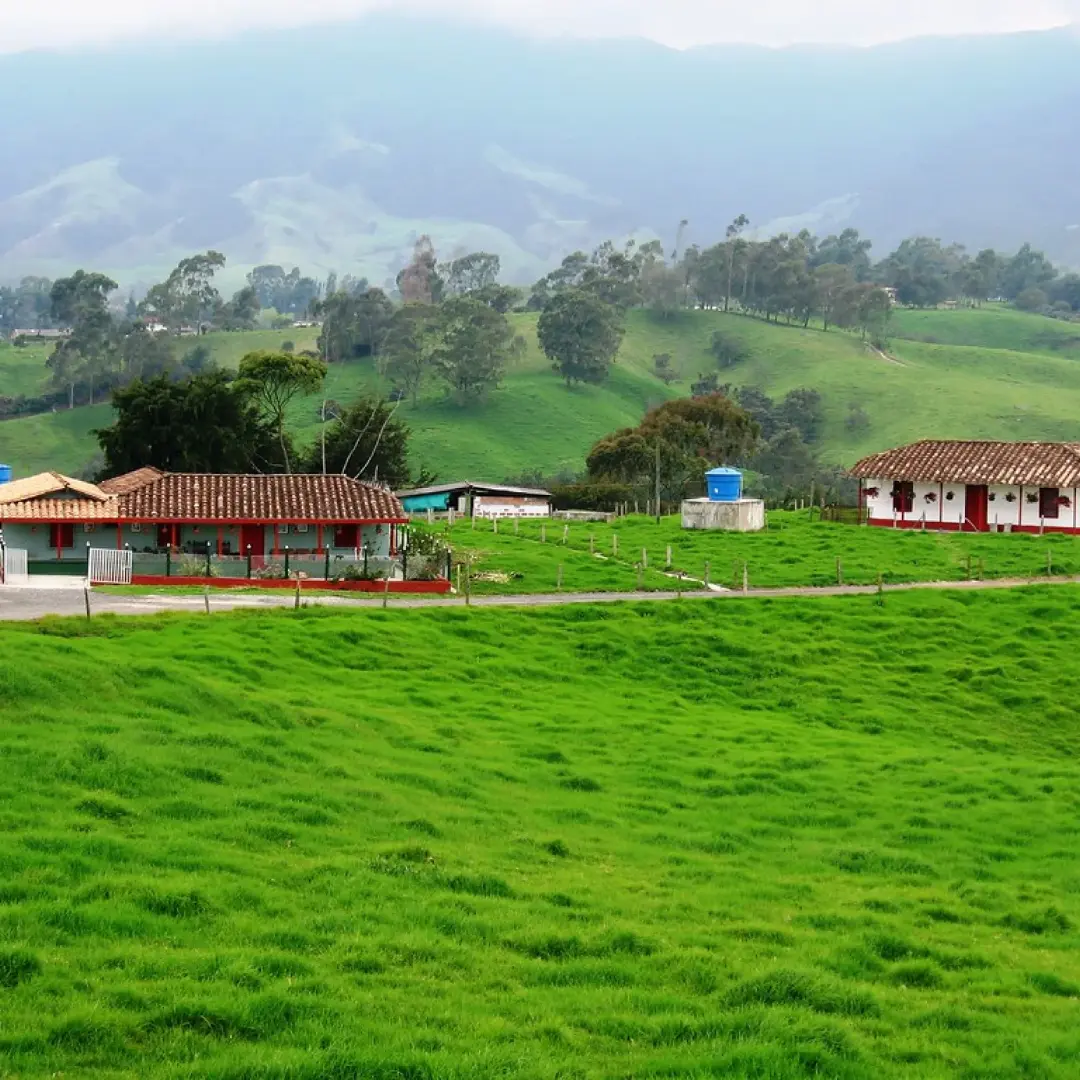 La magia del campo y sus sabores