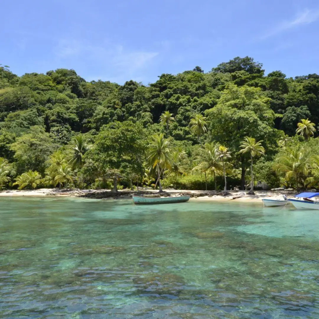 Explora paraísos escondidos del Caribe