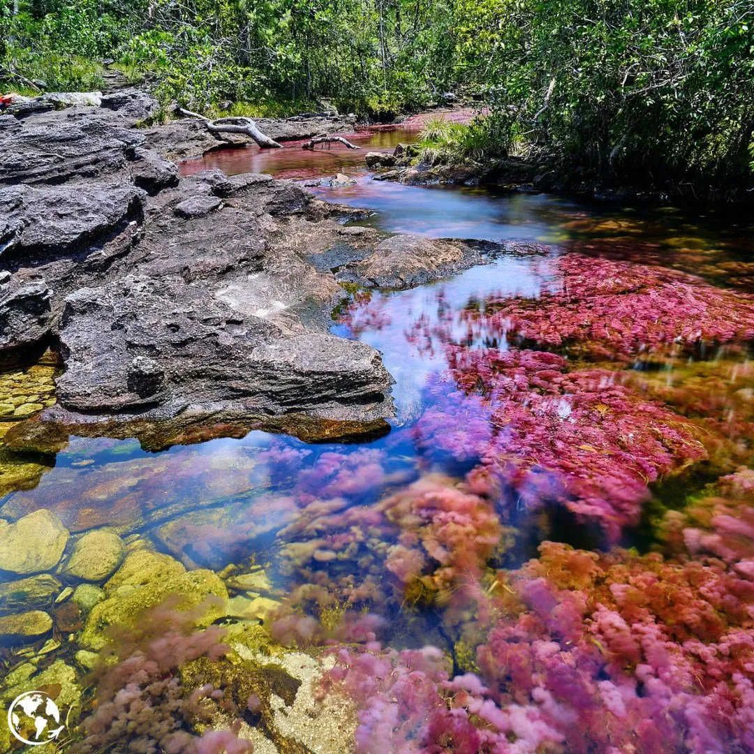 Immerse yourself in the Dazzling Beauty of Caños de Cristal