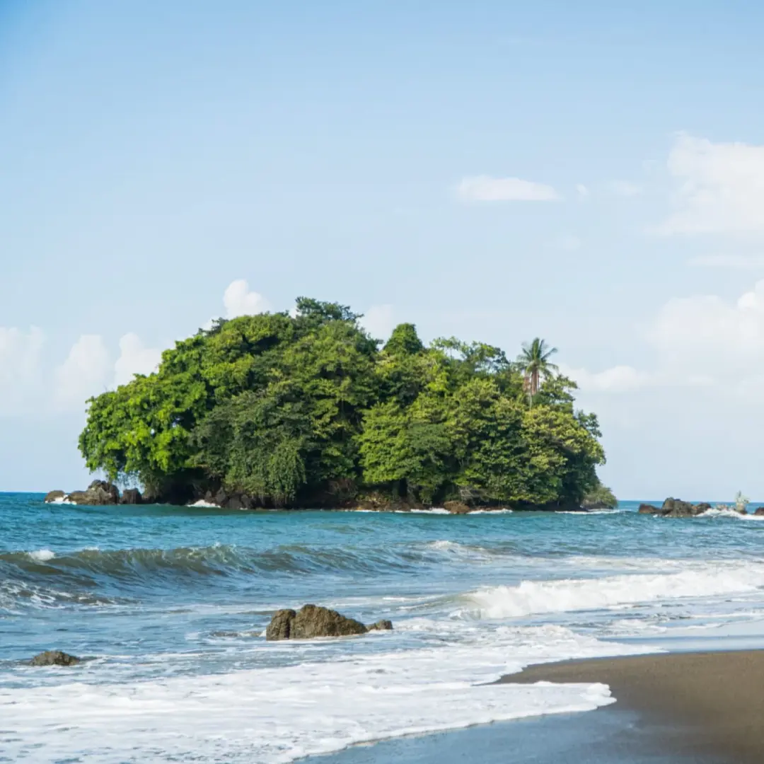 Aventura y relax entre selva y mar