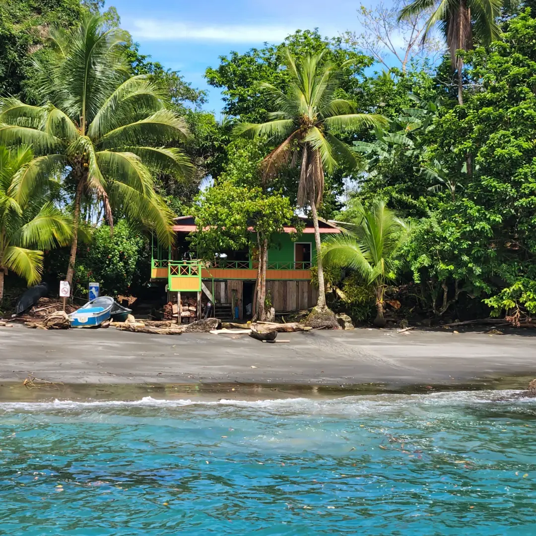 Encuentro con la naturaleza y las ballenas