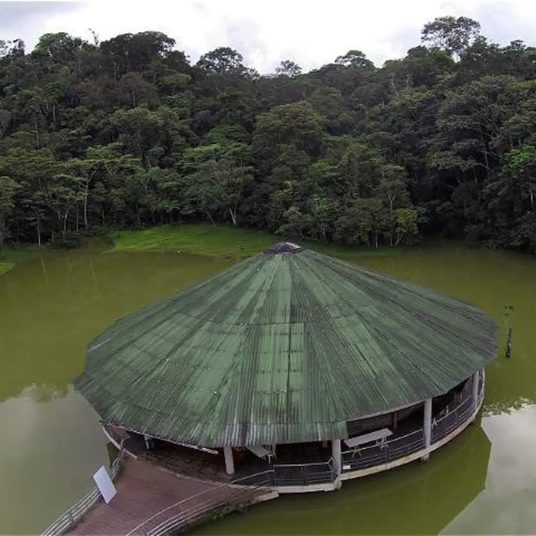 Renueva tu espíritu en plena naturaleza